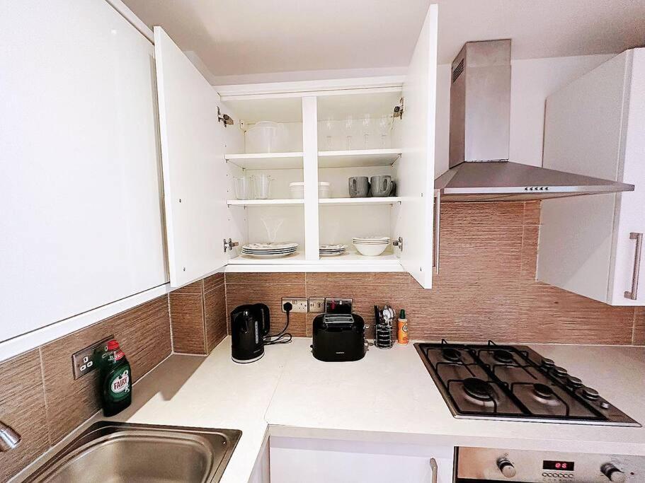 1 Bed Room Flat Near Central Londra Exterior foto